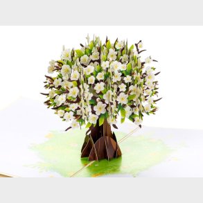 Pop Up-kort - Kirsebrtr