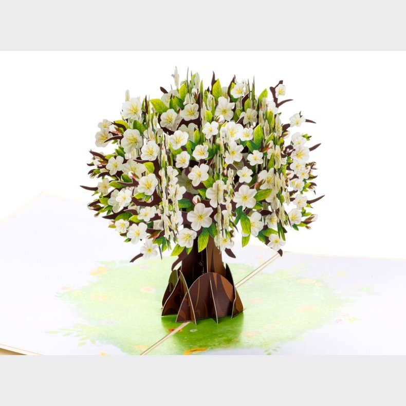 Pop Up-kort - Kirsebrtr