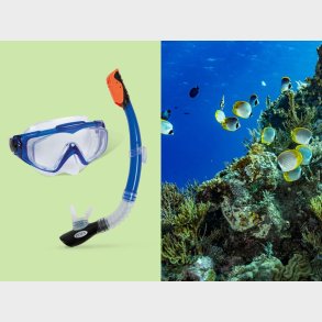 Dykkermaske & Snorkelst - Intex