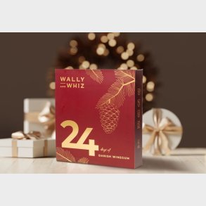 Wally and Whiz Julekalender med Vingummi