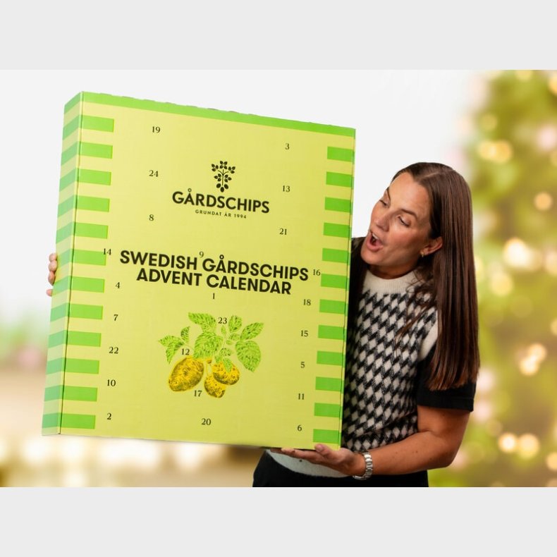 Grdschips Julekalender