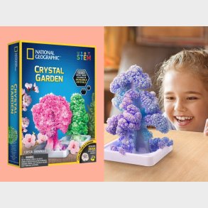 National Geographic Crystal Garden