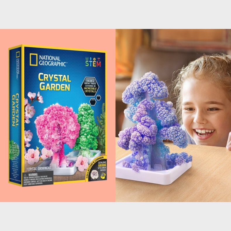 National Geographic Crystal Garden