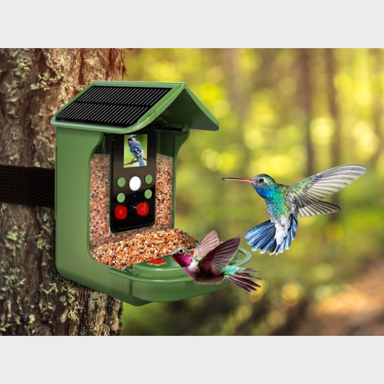 Fuglefoderautomat med Kamera Denver BFC-1200