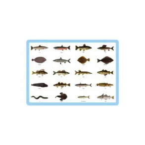 Dkkeserviet plast Fisk