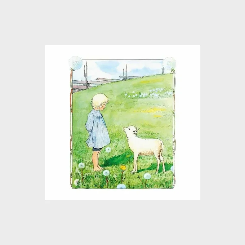 B b vita lamm plakat