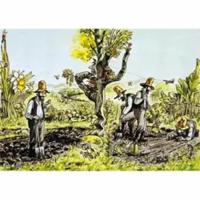 Kackel i grnsaklandet plakat