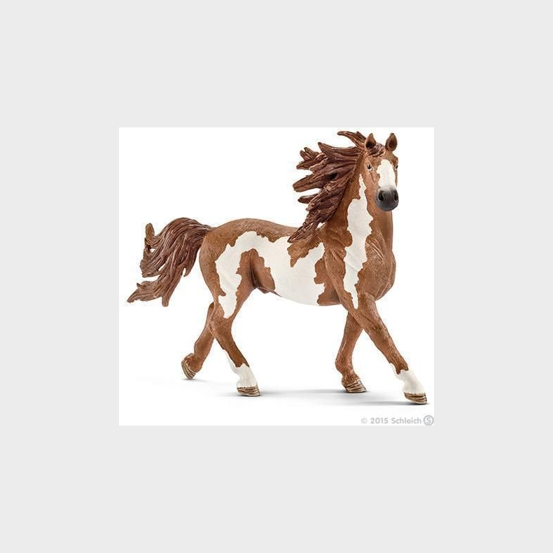 Schleich  - Pinto-hingst