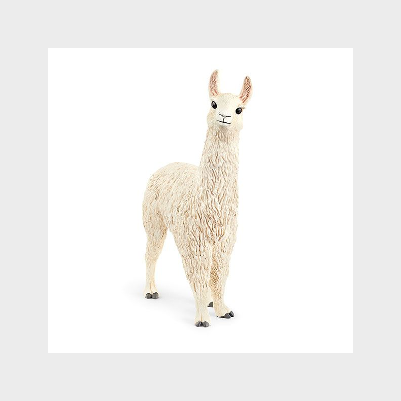 Schleich - Lama