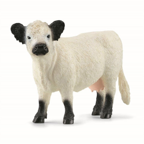 Schleich - Galloway ko