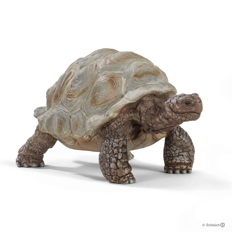 Schleich  - K�mpeskildpadde