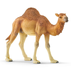 Schleich  - Dromedar