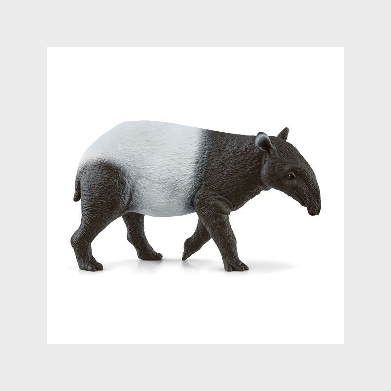 Schleich  - Tapir