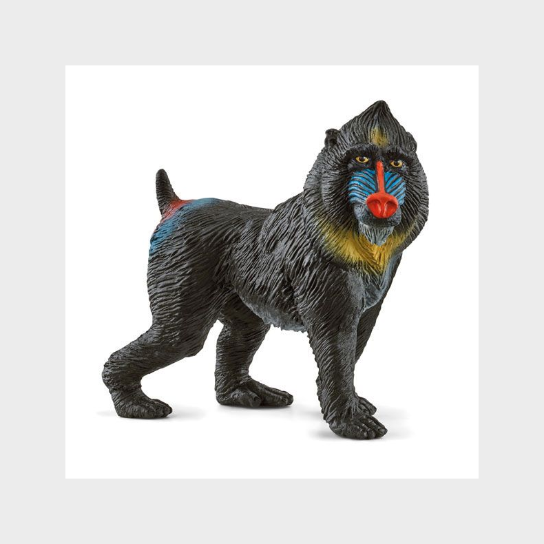 Schleich  - Mandrill