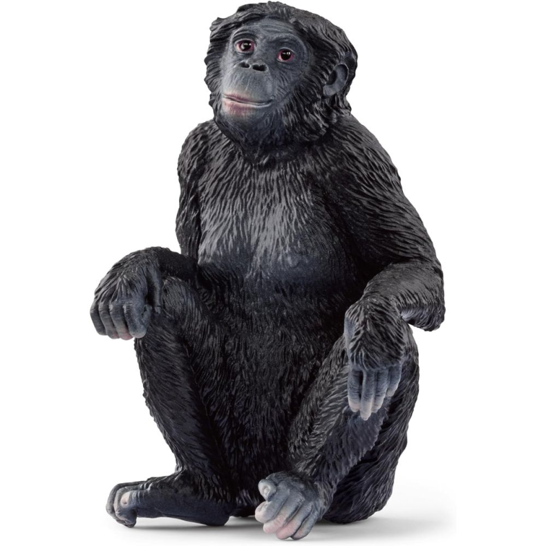 Schleich  - Hunbonobo abe