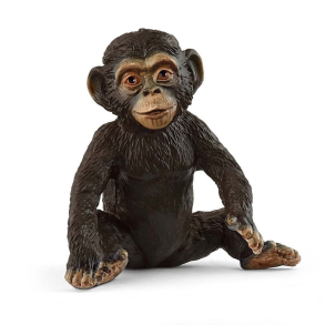 Chimpansee Ungdyr