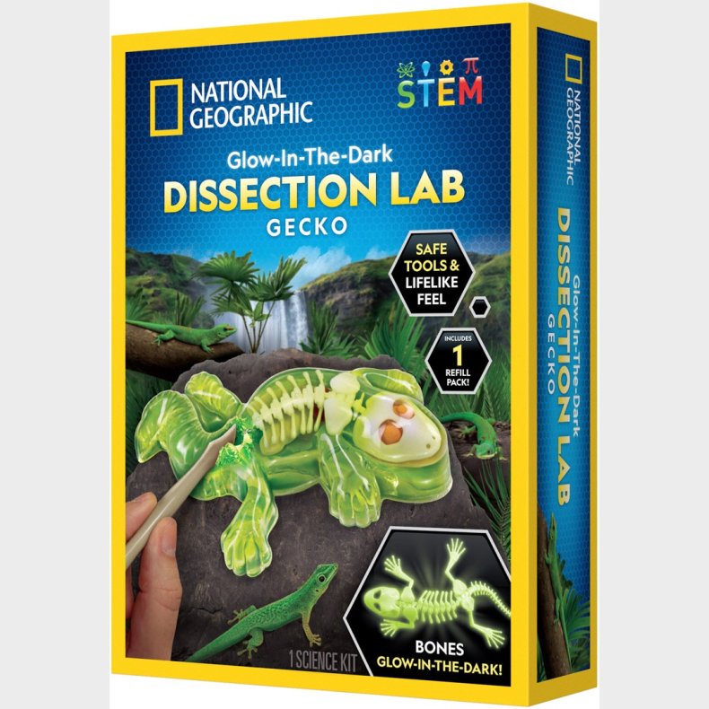 National Geographic Gecko Laboratorie-dissektionss�t