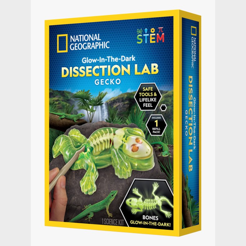 National Geographic Gecko Laboratorie-dissektionss�t