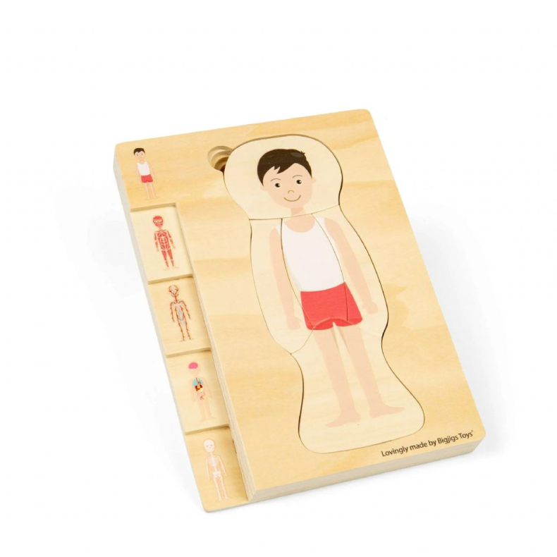 Tr� Puslespil Anatomi, dreng