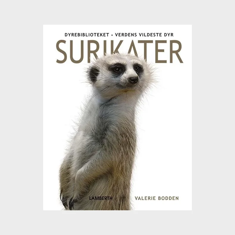 Surikater