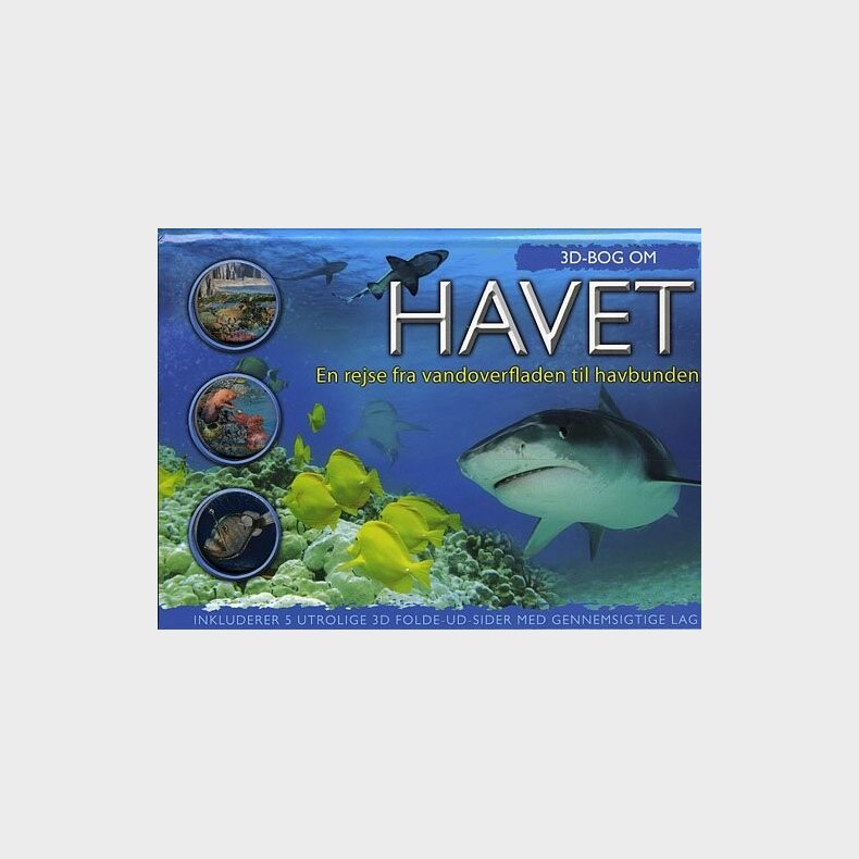 3d Bog Om Havet - Jen Green - Bog