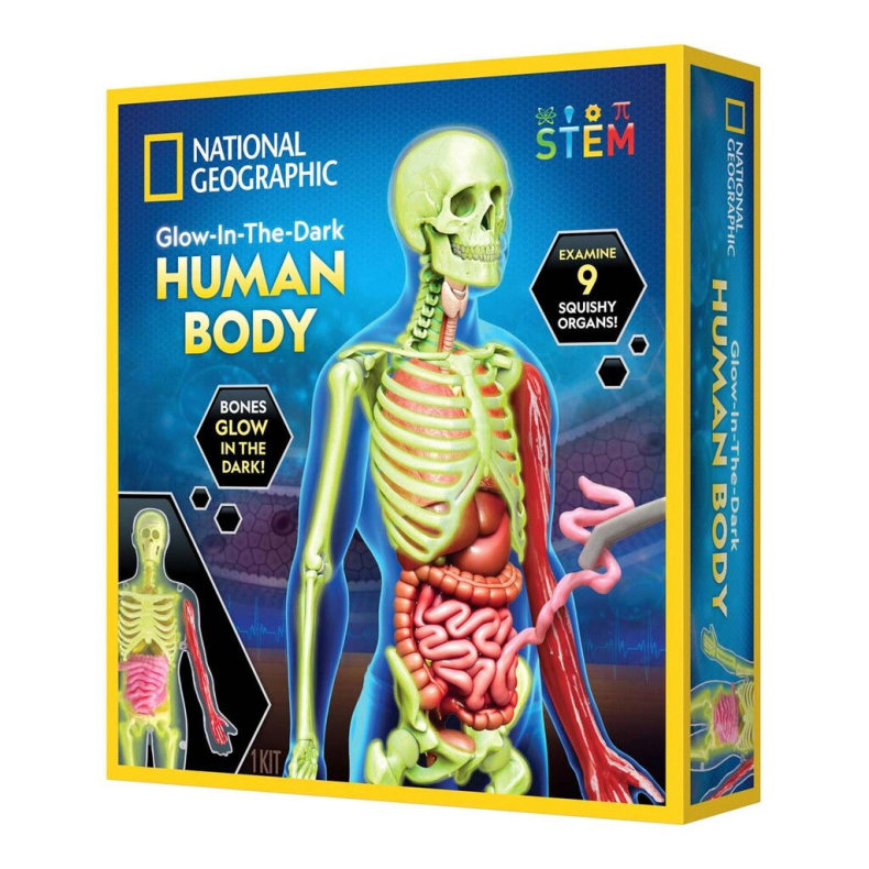 National Geographic | Anatomis�t - Bliv klogere p� kroppen