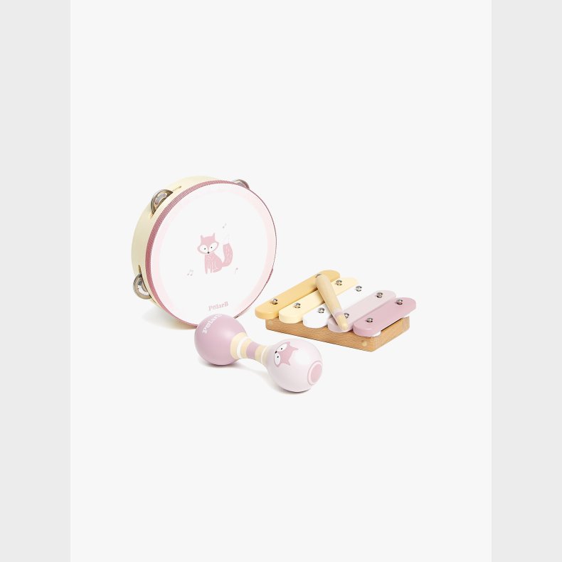 PolarB Instruments�t R�v