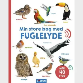 Min store bog med fuglelyde
