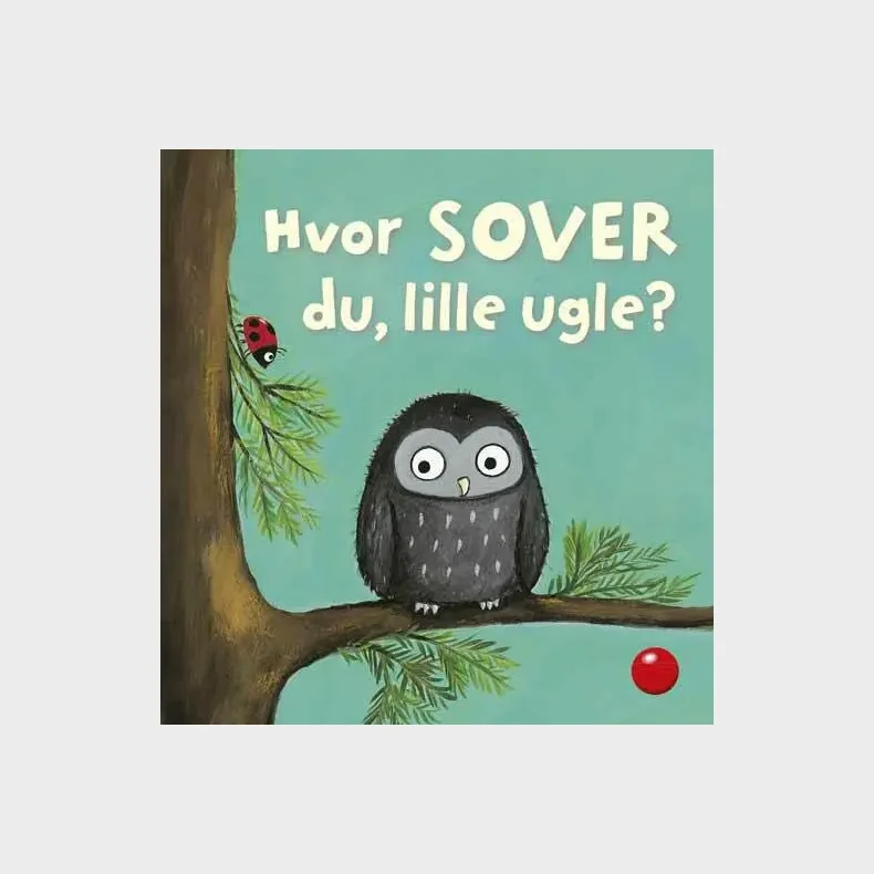 Hvor sover du, lille ugle?