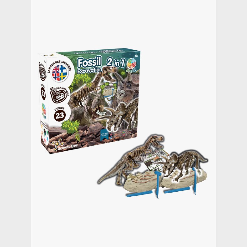 Toyrock STEAM Fossil-s�t Dinosaur 2-i-1