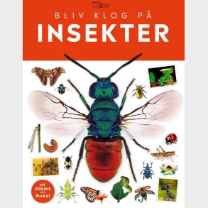 Insekter