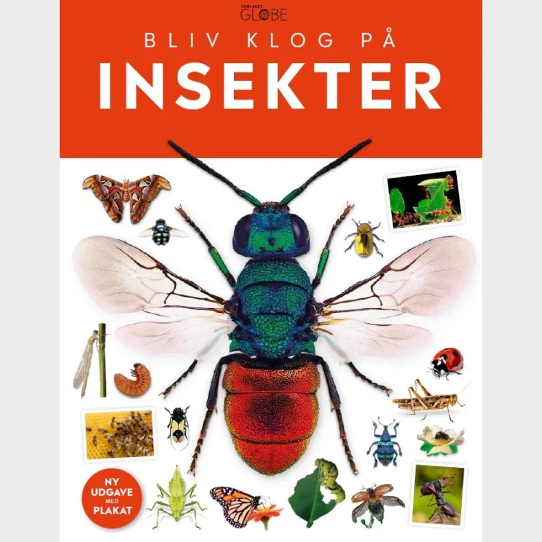 Insekter