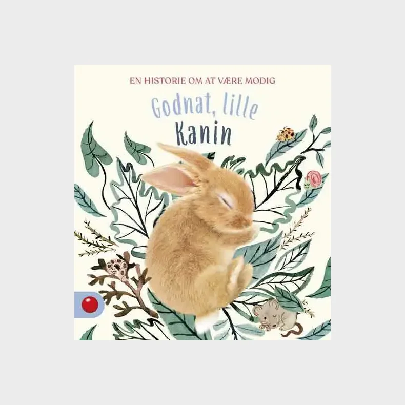 Godnat, lille Kanin