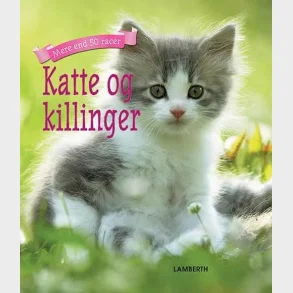 Katte og killinger