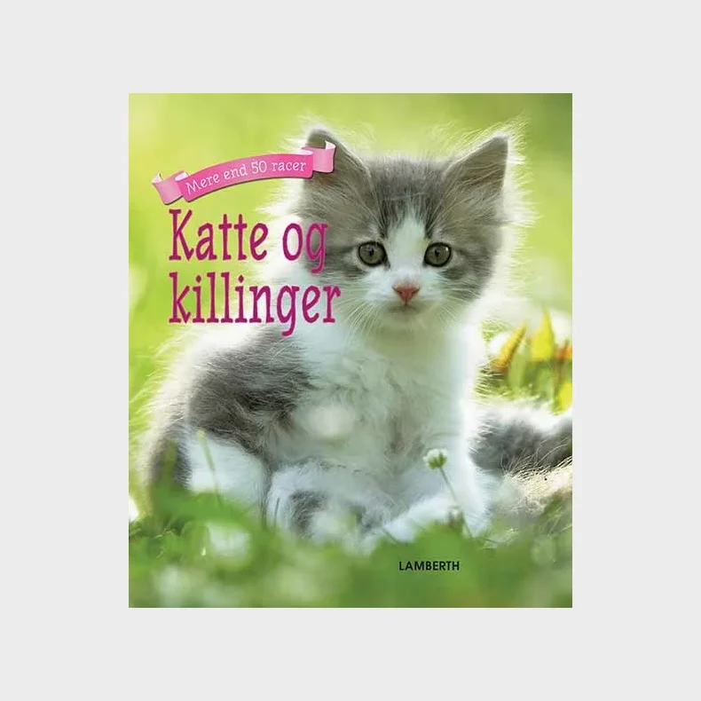 Katte og killinger