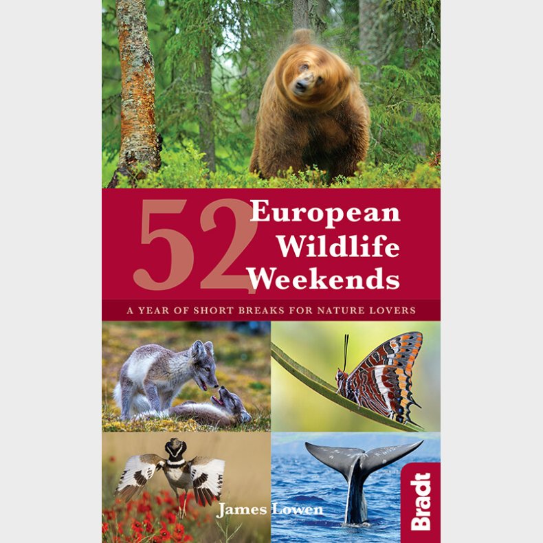 Bradt - 52 European Wildlife Weekends - James Lowen - English Book