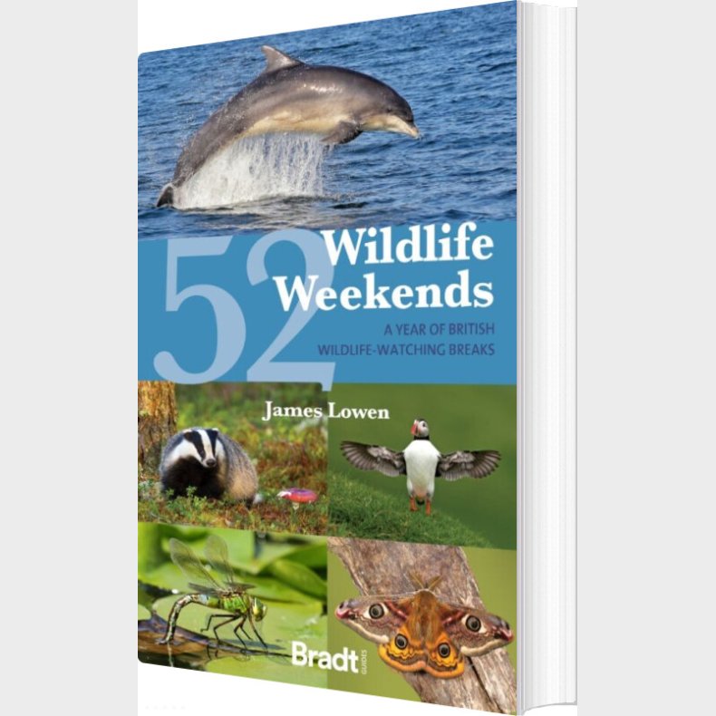 Bradt - 52 Wildlife Weekends: A Year Of British Wildlife-watching Breaks - James Lowen - English Book