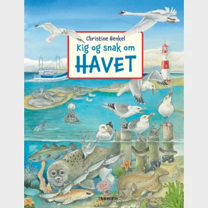 Kig og snak om havet