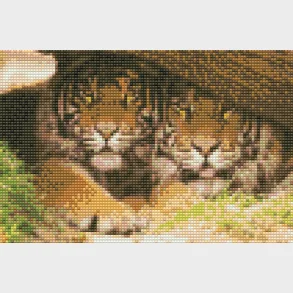 Diamond art tiger TRSTAMME 20 x 30 cm