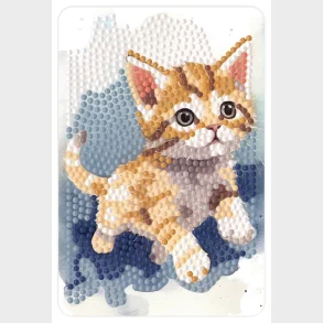 Diamond art kat 10 x 15 cm