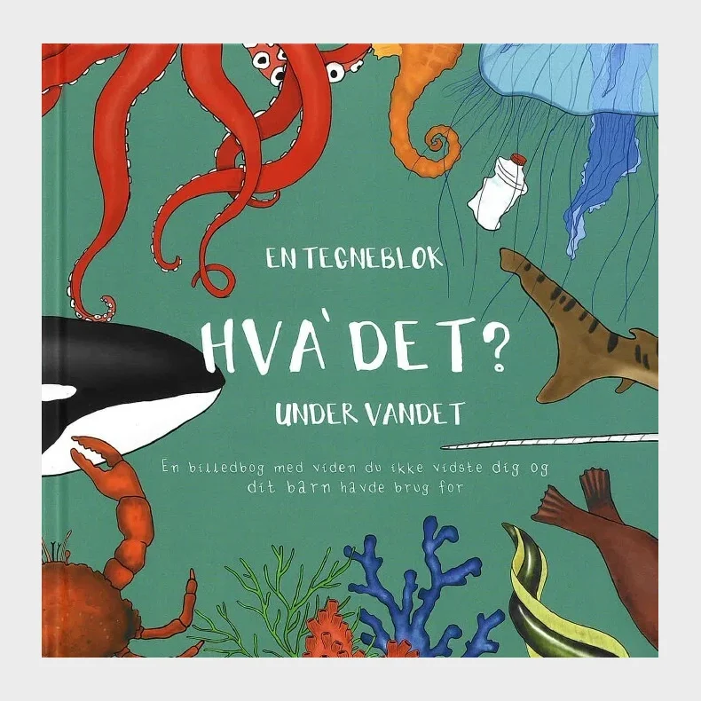 Hva' Det?