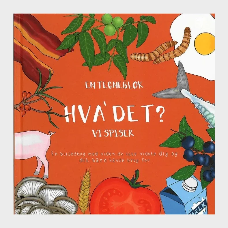 Hva' Det?