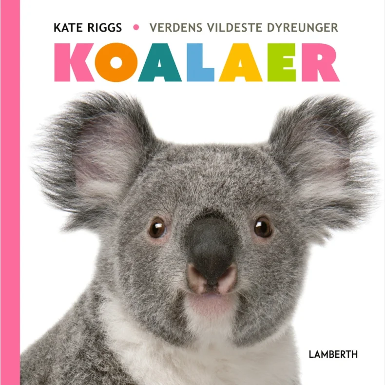Koalaer