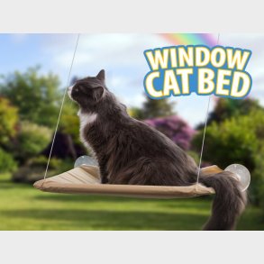 Katteseng Til Vindue