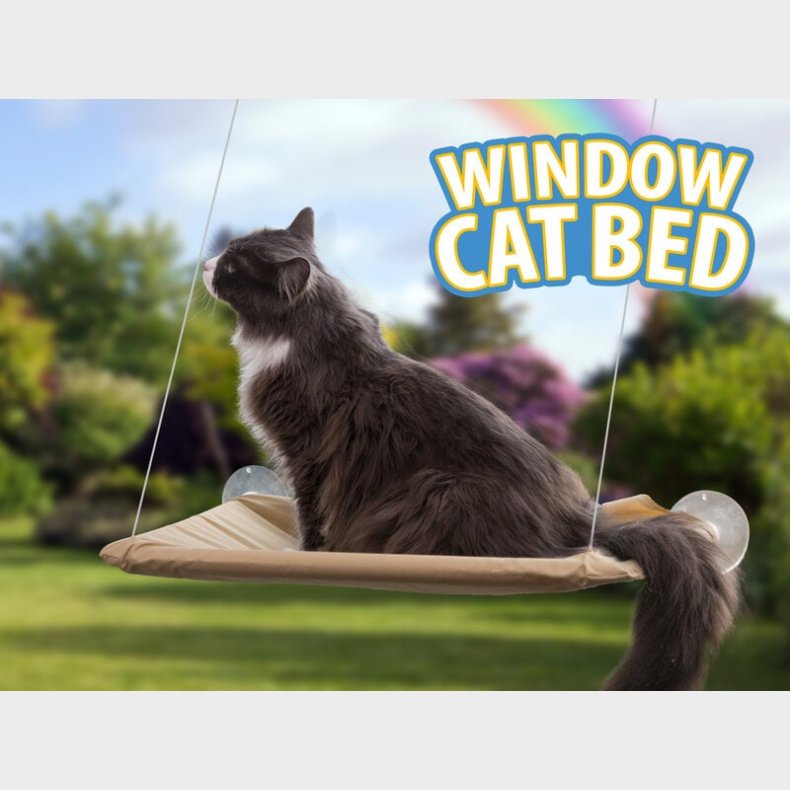 Katteseng Til Vindue