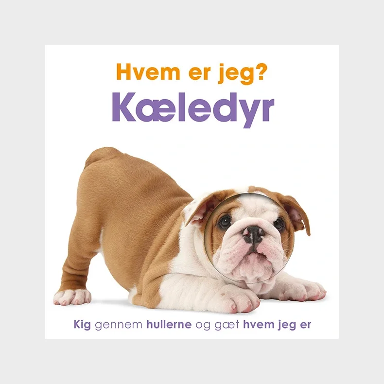 Hvem er jeg? Kledyr