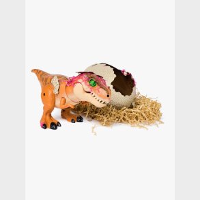 Spin Master Primal Hatch Legetj Hatching Dinosaur