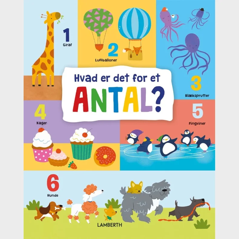 Hvad er det for et antal?