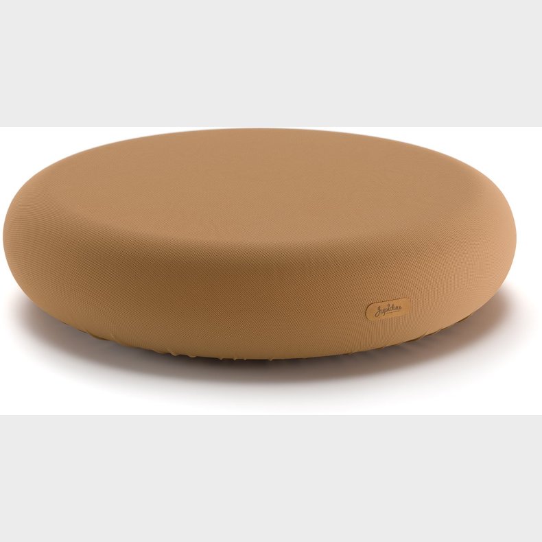 Jupiduu Indend�rs Hoppeplade, Camel