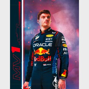 UnderCover Oracle Red Bull Racing Ringbind A4